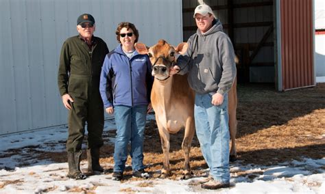 Wisconsin Jerseys Dairy Cattle Wisconsin Jersey Breeders Association