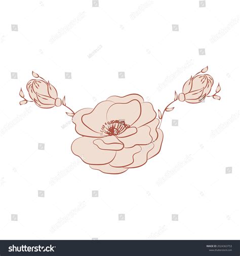 Illustration Brown Beige Nude Flower One Stock Vector Royalty Free Shutterstock