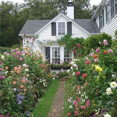 Front Garden With Morning Glory And Dahlias Cottage Garden Home And