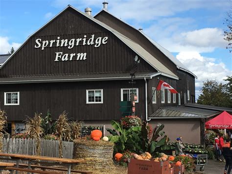 Springridge Farm - Milton, ON - 7256 Bell School Line | Canpages