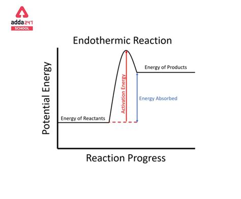 Endothermic Reaction Examples Equations Formula For Class 10