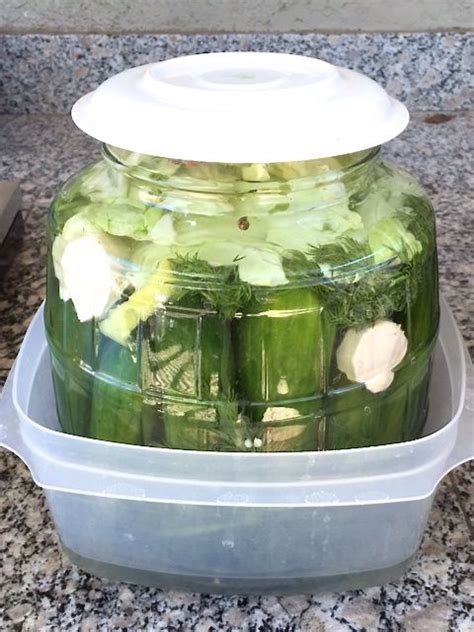 Excuse me while i go make this for lunch again. Fermented Dill Pickles - Hungarian fermented cucumber ...