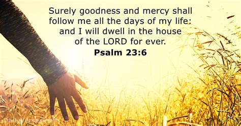 Air 1 verse of the day: Psalm 23:6 - ESV - Bible verse of the day - DailyVerses.net