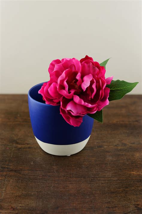 Cobalt Blue Dip Dyed Ceramic Flower Pot 5