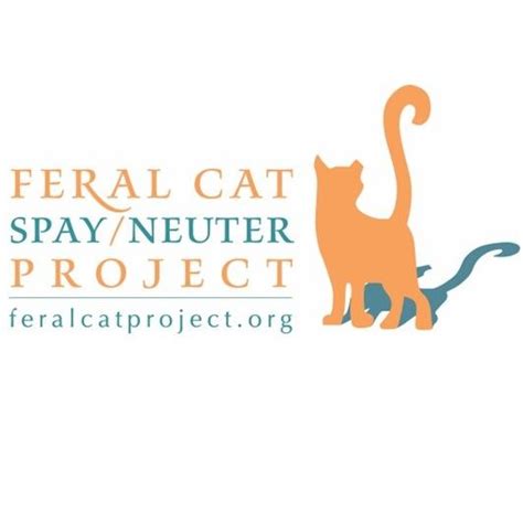 Feral Cat Spayneuter Project Washington Gives