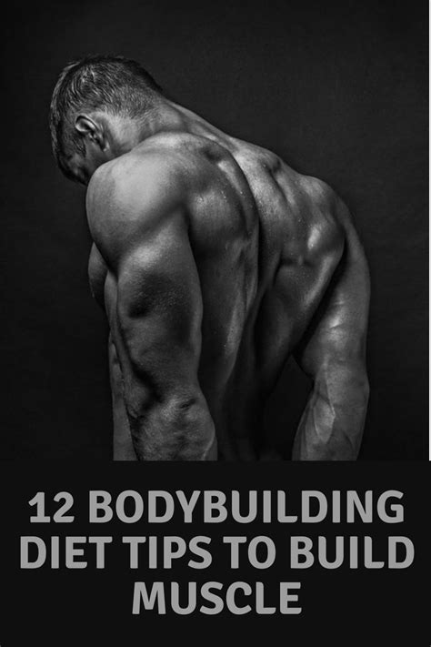 bodybuilding diet tips for muscle building