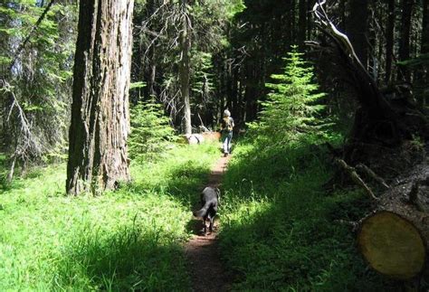 Green springs inn and cabins is about 17 miles outside of ashland up in the forest. Hotel Green Springs Inn & Cabins en Ashland | Destinia