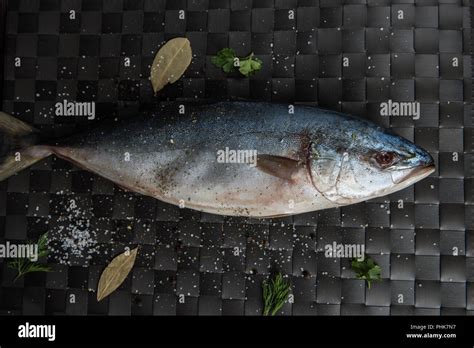 Tuna Fresh Fish Stock Photo Alamy