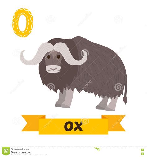 Ox O Letter Cute Children Animal Alphabet In Vector Funny Car Stock