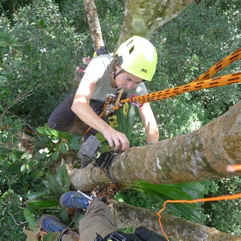 Welsh Mountain Zoo Holds Margay Conservation Day Bayside Radio Colwyn Bay