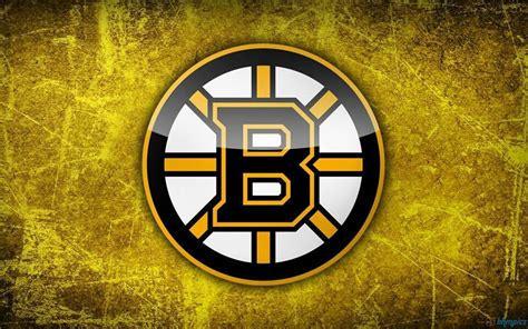Go Bruins Boston Bruins Hockey Pittsburgh Penguins Hockey Chicago