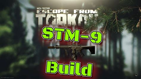 Escape From Tarkov Stm 9 Build Youtube