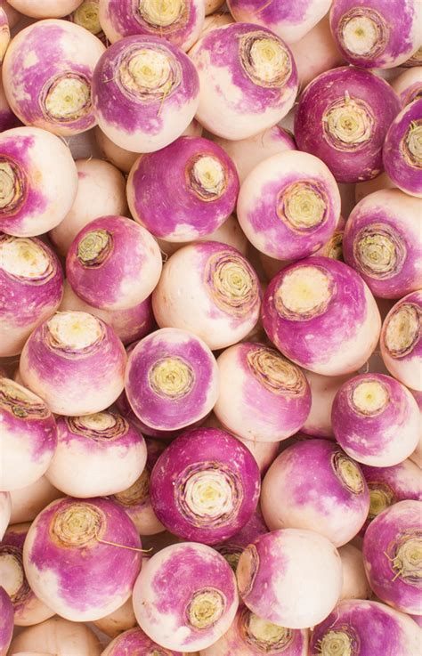 Turnip Marrone Fresh