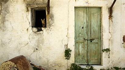 Door Backgrounds Wallpapers Barn Cat Wooden 1080