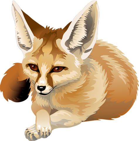 Fennec Fox By Silvercrossfox On Deviantart