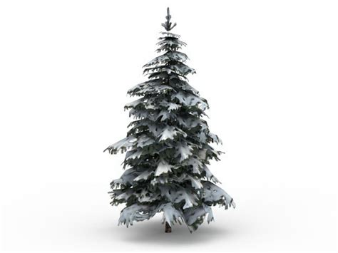 Winter Snow Spruce Tree 3d Model 3ds Max Files Free