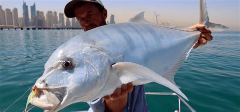 Fishing In Dubai The Complete Guide To Know About Fishing In Dubai