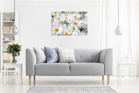 Daisys Daisy Canvas Wall Art Picture Print EBay