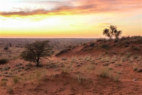 Kalahari Wüste Botswana Südafrika Und Namibia Franks Travelbox