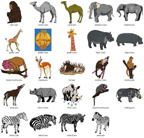 African Animals List List Of African Animals Beginning With Letters A