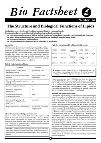 Cie 22 Biological Molecules Lipids Teaching Resources