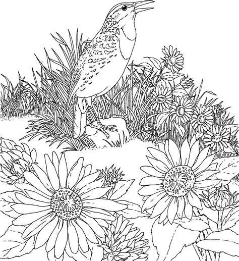 I think they make everyone happy and when sunflower season arrives, there's nothing more exciting for kids. Free Printable Sunflower Coloring Pages For Kids