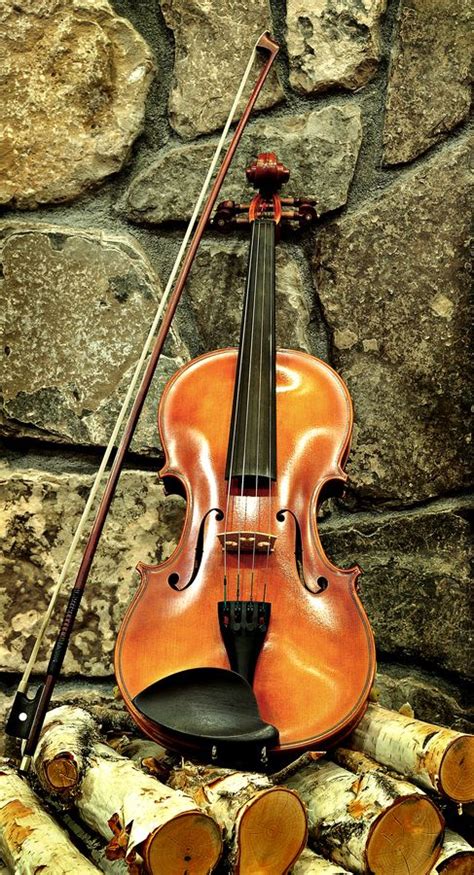 Violín Violin Violon Violin Fiddle Music Cool Violins