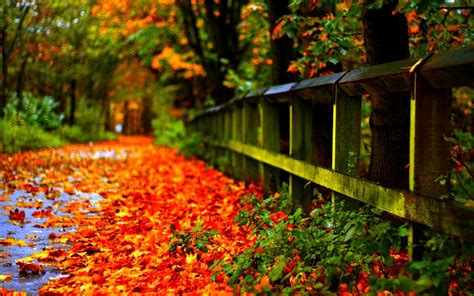 Awesome Autumn Desktop Wallpapers Top Free Awesome Autumn Desktop