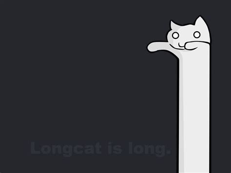 [image 16701] longcat know your meme