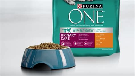 The royal canin veterinary diet urinary so in gel canned cat food is our first choice because it helps to address the problem of bladder stones, and also keeps the entire urinary tract system healthy. Best Cat Food for Urinary Health Problems (TOP 5 ...