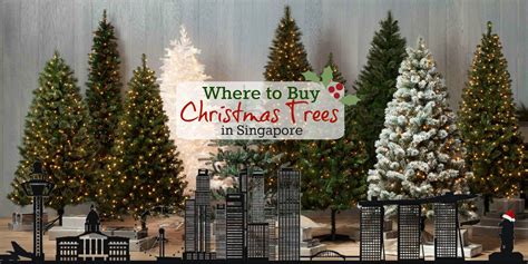 Where to Buy Christmas Trees & Decorations in Singapore