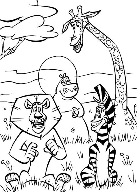 Desenhos De Personagens De Madagascar Para Colorir E Imprimir Colorironline Com