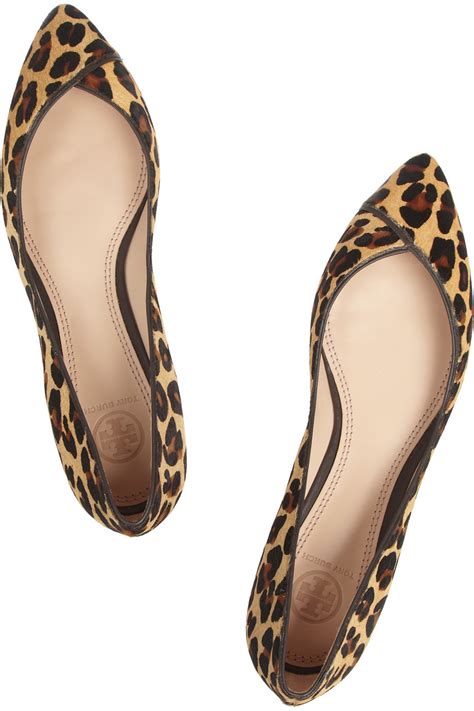 Lyst Tory Burch Nicki Leopard Print Calf Hair Point Toe Flats