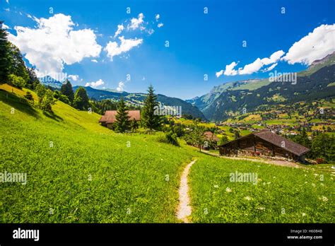 Grindelwald Valley Green Forest Alps Chalets And Swiss Alps
