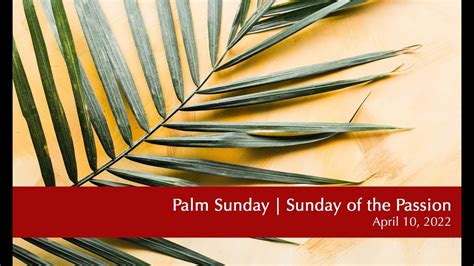 Palm Sunday Sunday Of The Passion 410 First Lutheran Church