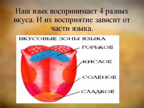 Метеоризм диета 5