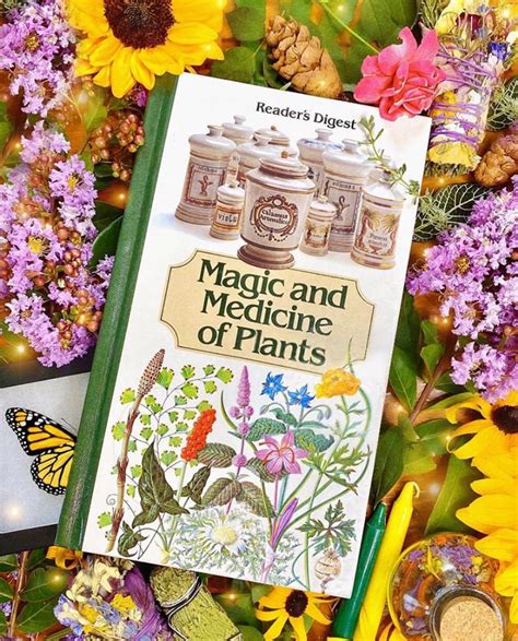 Magic And Medicine Of Plants Vintage Book Garden Fairy Co