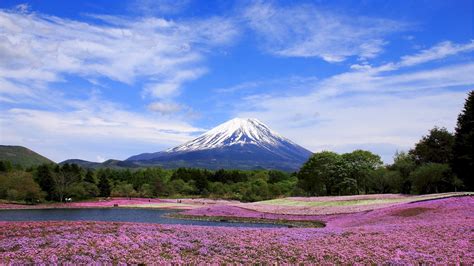 Yamanashi 10 Best Things To Do In 2019 Japan Travel Guide Jw Web