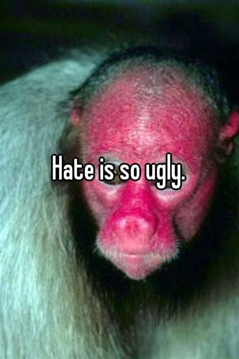 Hate Is So Ugly