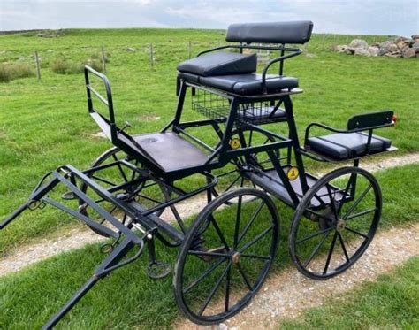 Bellcrown Carts And Carriages For Sale Dragon Driving