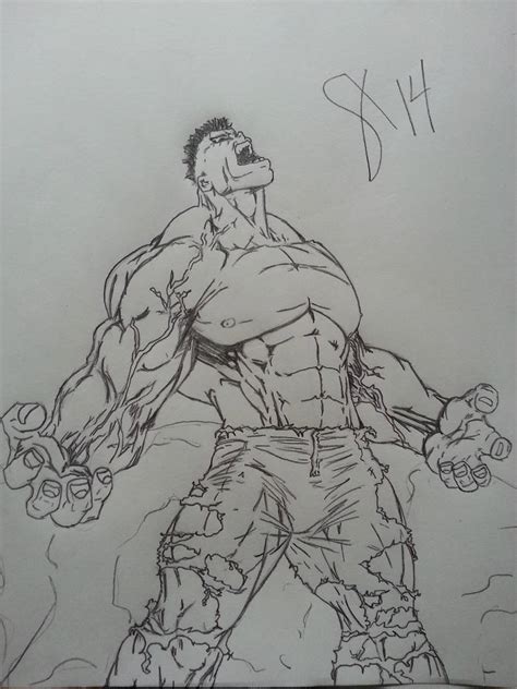 Hulk Original Michael Turner By Andyosu20 On Deviantart