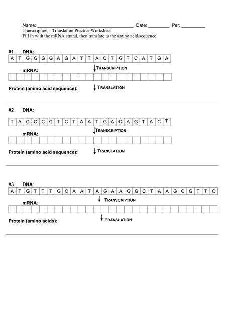 Transcription and translation worksheet 2 transcription and translation practice worksheet key, transcription translation practice worksheet, transcription and translation practice worksheet quizlet, practicing dna transcription and translation worksheet key, transcription and translation practice worksheet for each of the following sequences, image source: Transcription And Translation Practice Worksheet Answer ...