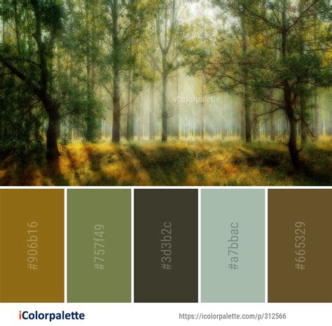 Color Palette Theme Related To Ecosystem Forest Green Grove Image