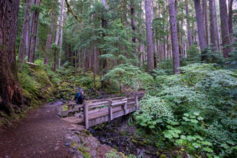 The 13 Best Hikes In Olympic National Park Complete Guide