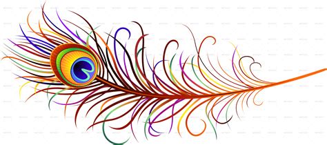 peacock feather png all png all