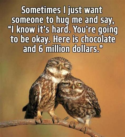 Funny Owl Quotes Shortquotescc