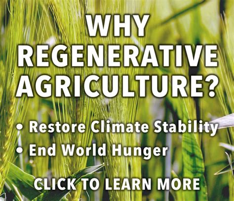 Why Regenerative Agriculture? - Regeneration International | Agriculture, Regeneration, No till 