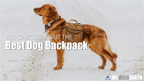 The 5 Best Dog Backpacks For Hiking With Your Hound