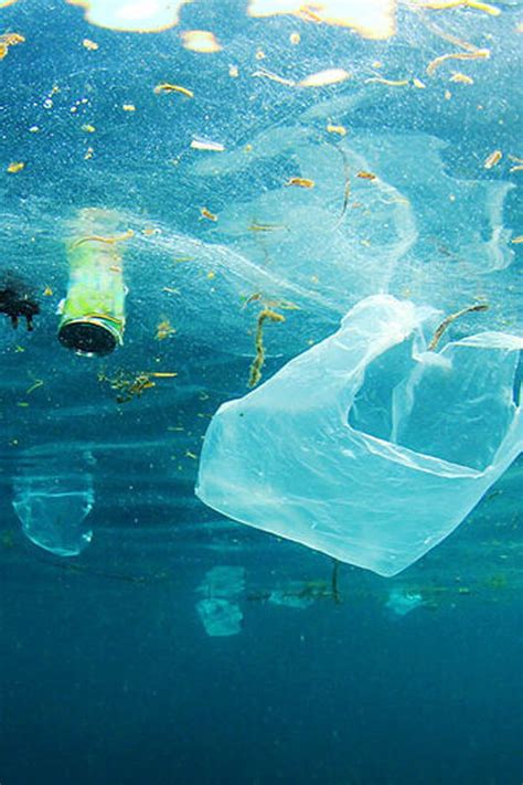 Kein Plastik Im Meer Schrotandkorn