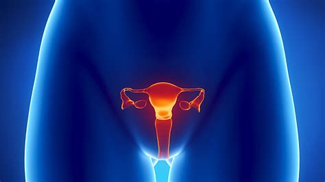 A New Way To Catch Hidden Ovarian Cancer Early Womens Wellness